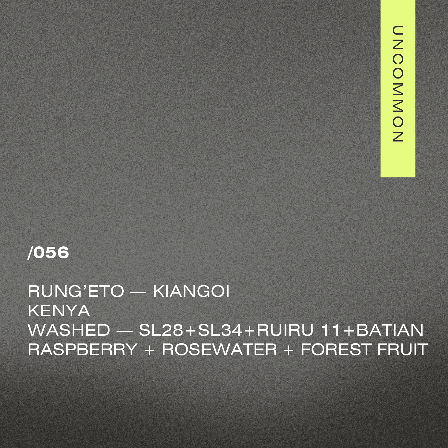 /056 Kenya — Rung’eto Kiangoi — A Matter of Concrete