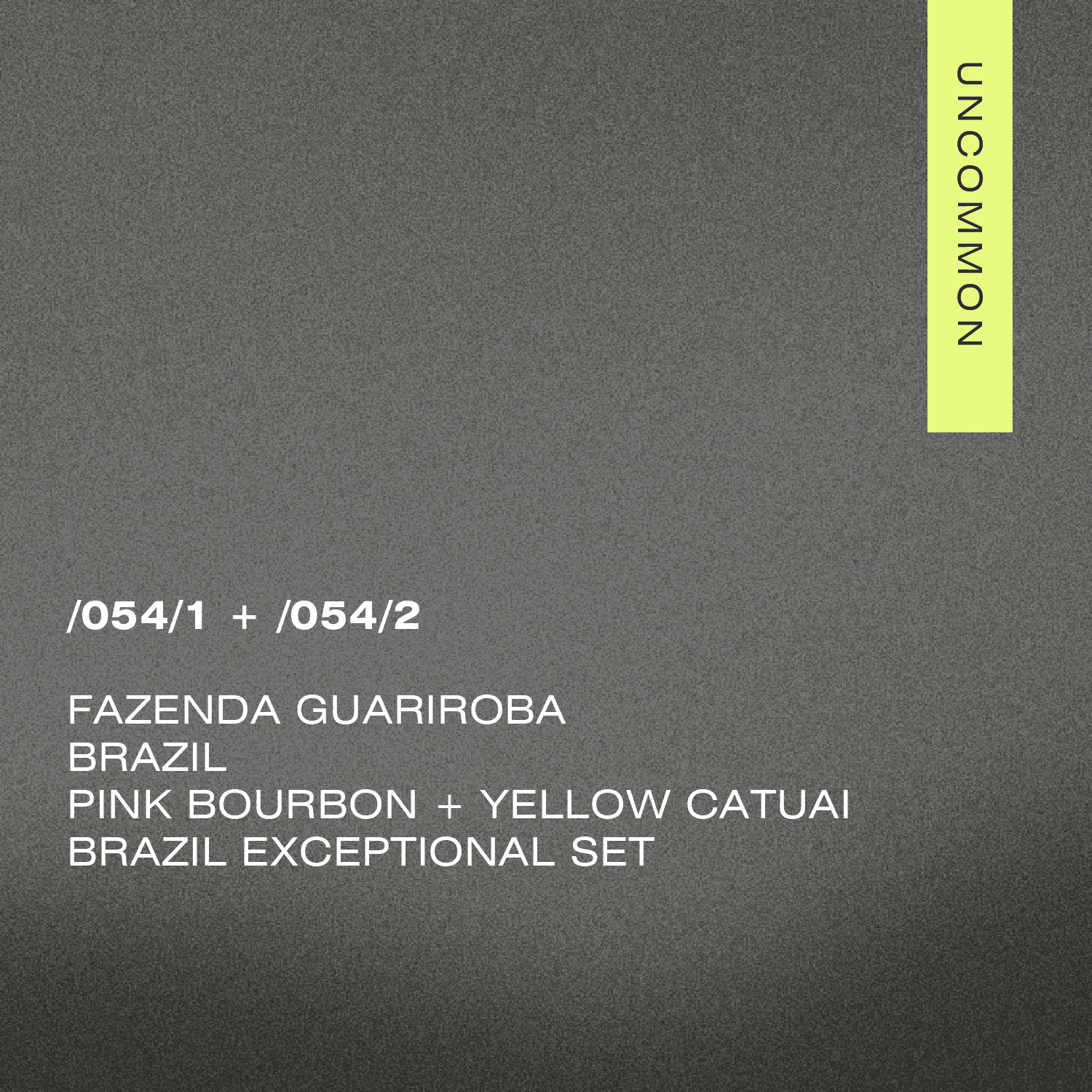 /054 Brazil Exceptional set — Fazenda Guariroba — A Matter of Concrete