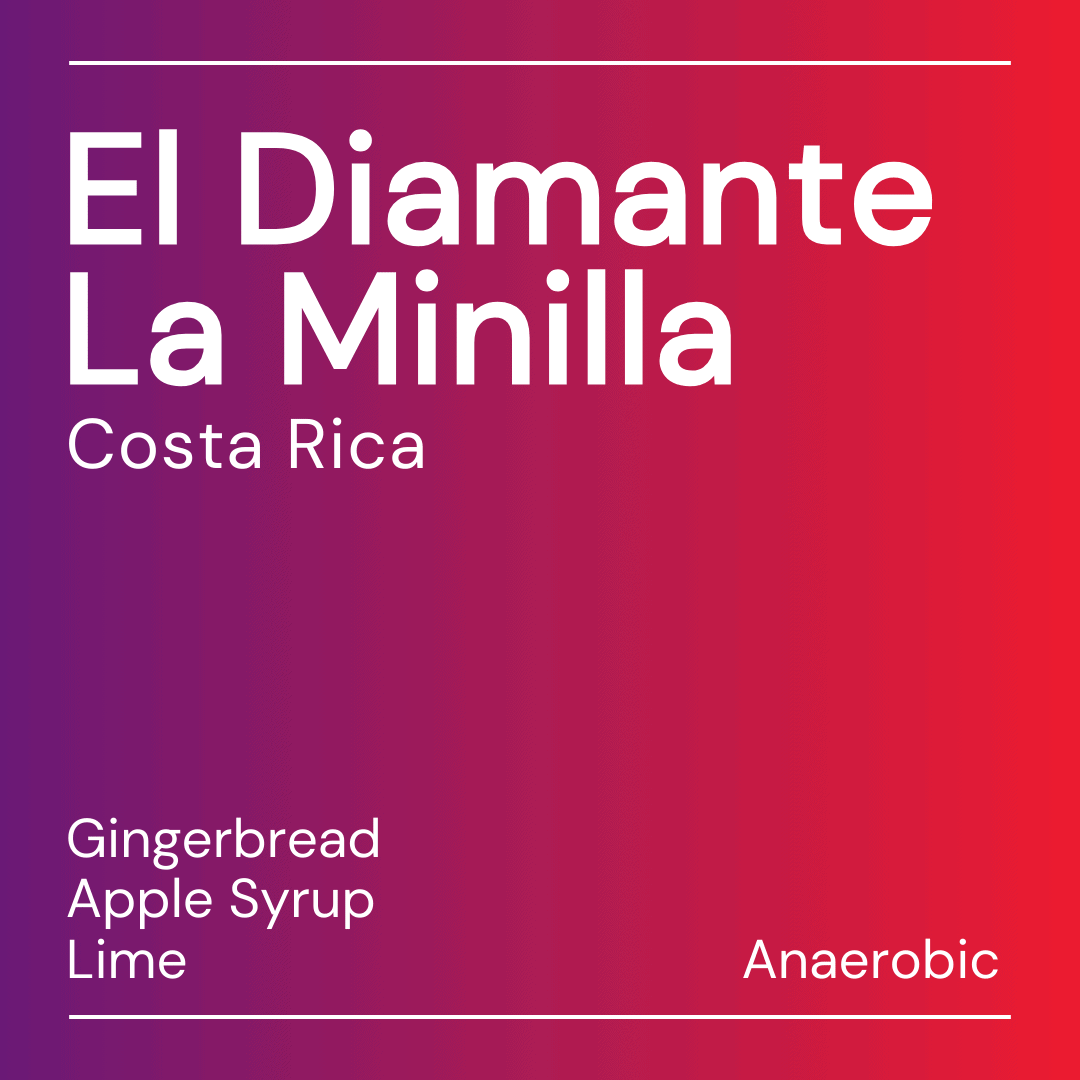 El Diamante La Minilla — Keen Coffee