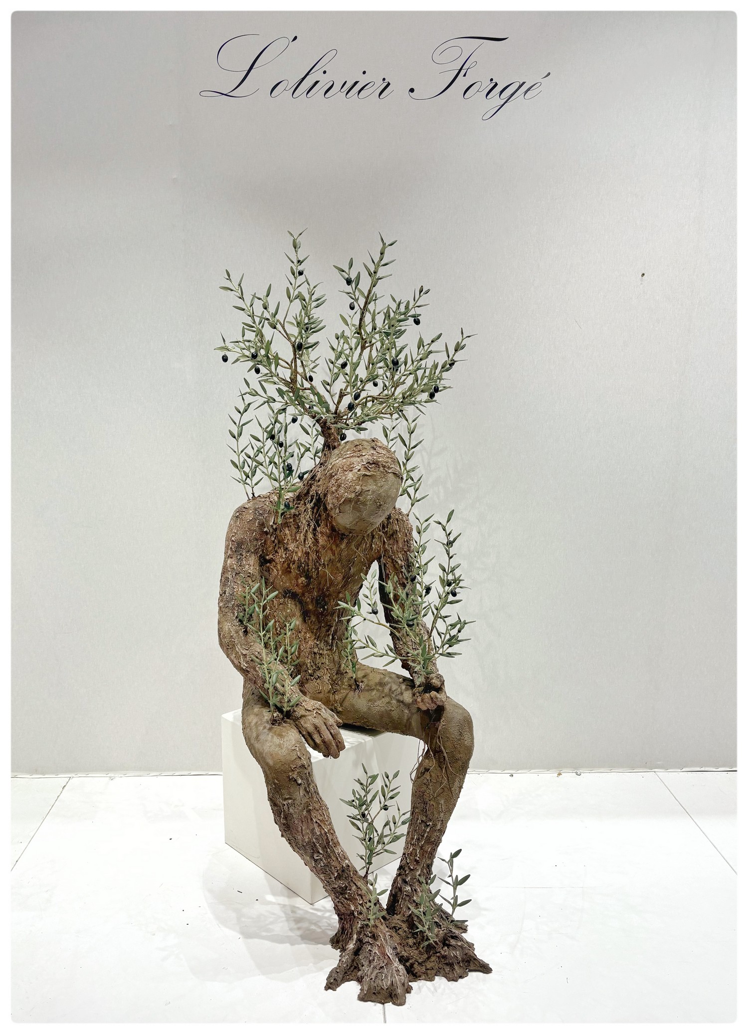 EDEN — L'Olivier Forgé