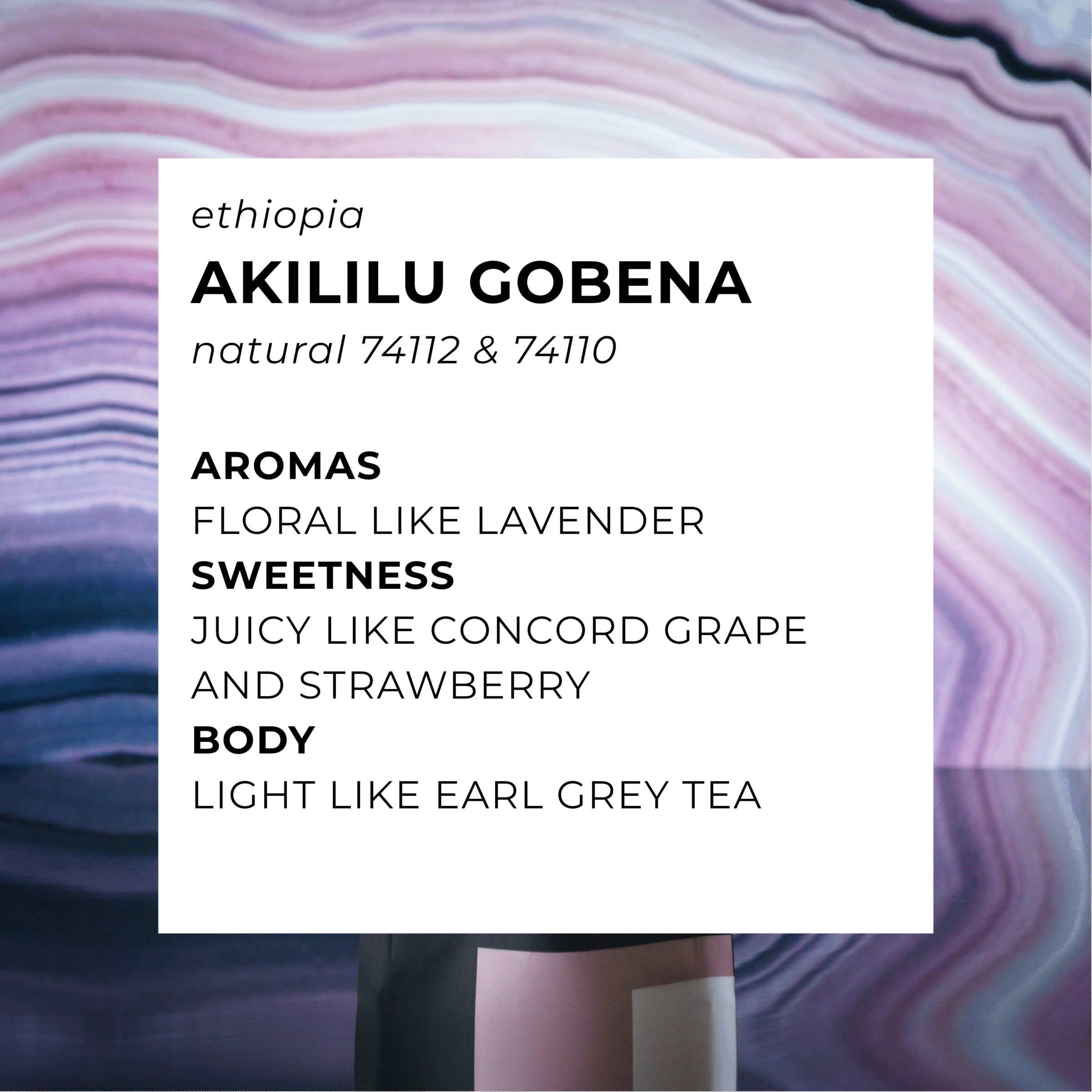 Akililu Gobena — Shokunin