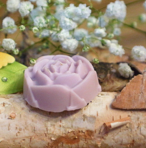 Bonbon violette — Céline Cannuyer