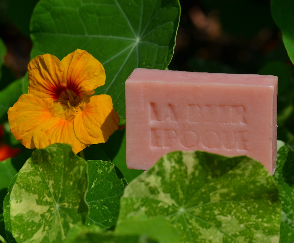Fruitas Griotte – Fragrance Griotte — Ka Lab