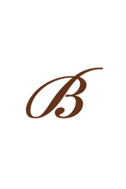 Logo Boldrini Selleria