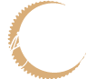 Logo Muriel Plaud